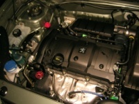 MOTORE
